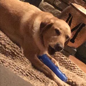 Meet your Posher, Kelson